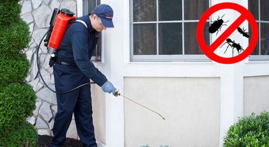 Naldöken Fare İlaçlama böcek ilaçlama ve haşere kontrolü — ilaclama-tr.com